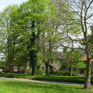 HousesonEastSideogVillageGreen1