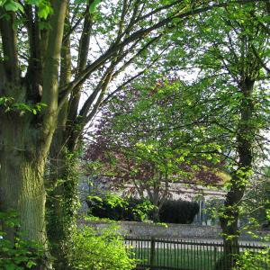TheGreenwithStPetersChurch1