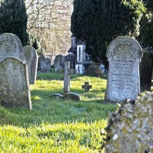 Palgrave Church yard February 2015