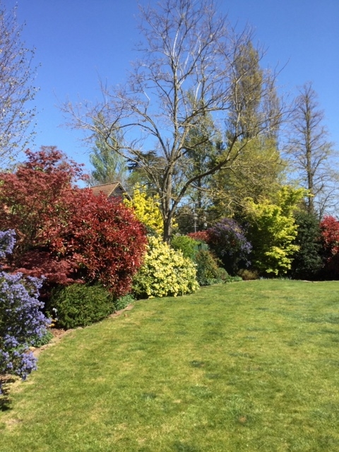 Spring in Palgrave