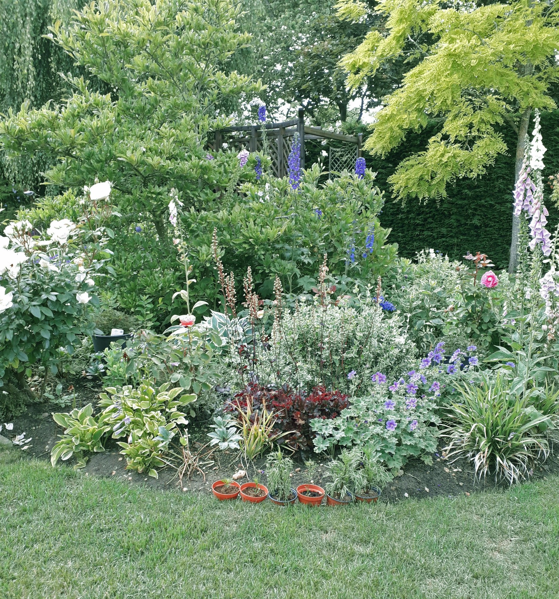 Early  Summer