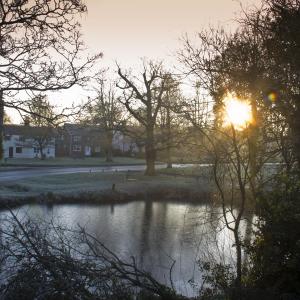 The Green early winter morning Feb 2015
