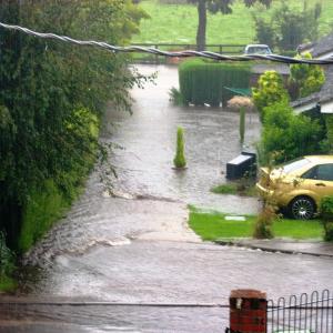 LowsLane1208200811