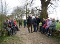 Group of Walkers