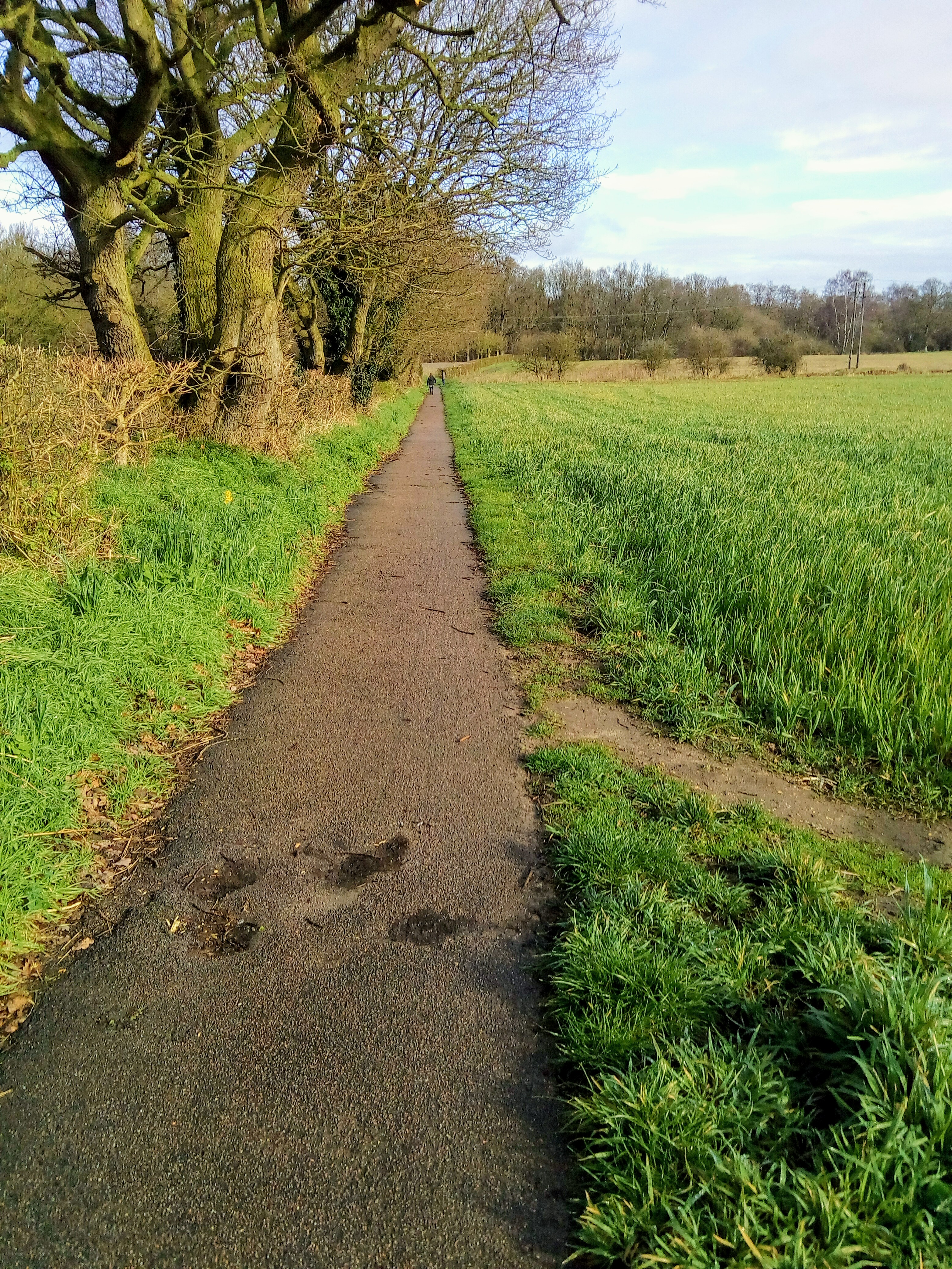 The Lows Footpath
